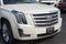 2015 Cadillac Escalade Platinum Edition