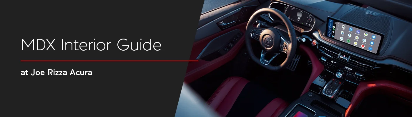 Joe Rizza Acura in Orland Park IL